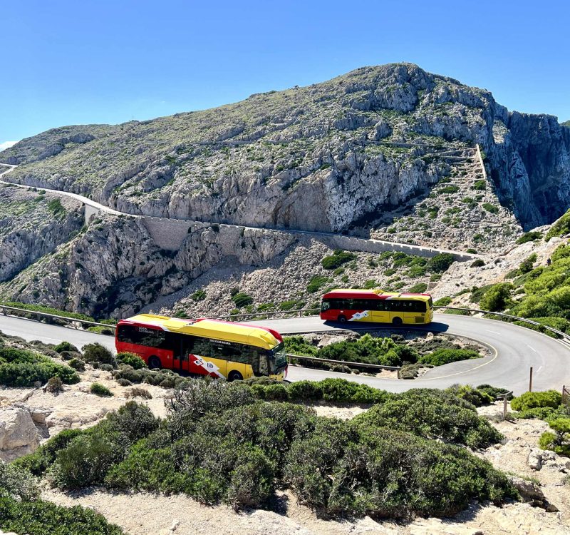 formentor_TIB_buses